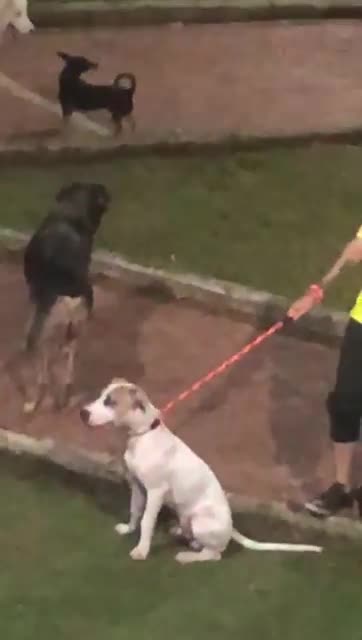 Ocurrió la noche del pasado martes en el barrio Fontana de Bucaramanga.