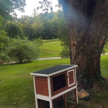 Country Life North Carolina