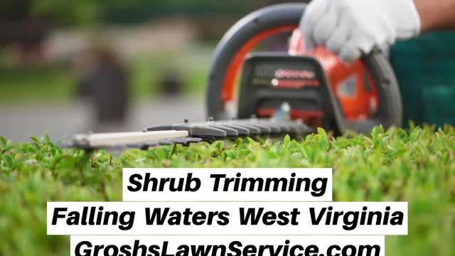 Shrub Trimming Falling Waters West Virginia Landscaping Contractor