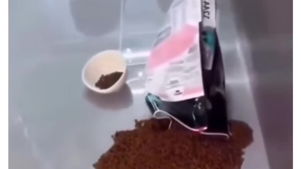 Dog unable to escape the crime scene