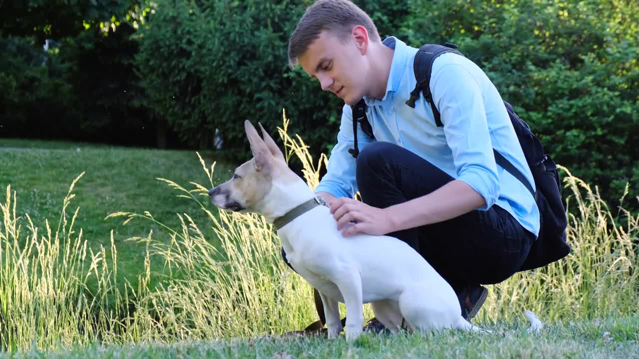 Owner petting the dog in the park and enjoying the warm sunny day