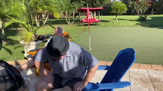Puppy playing in the pool for the first time
