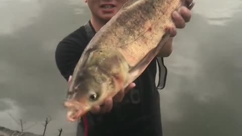 I Catch a Big Fish from Net