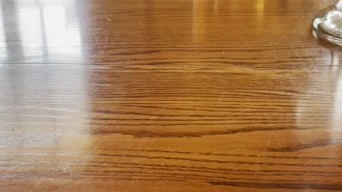 What would you have me to do?