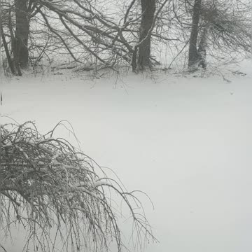 GARBAGE DAY IN WESTERN PA IS A REAL BITCH!