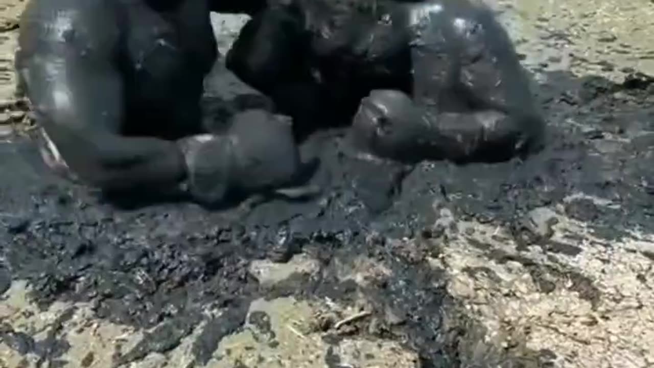 Mud madness: two guys in a hilarious mud fights 😂😂