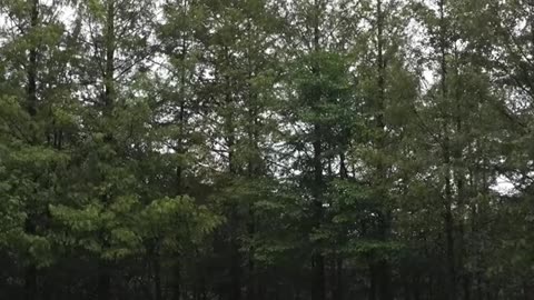 Solo campaign in the rain