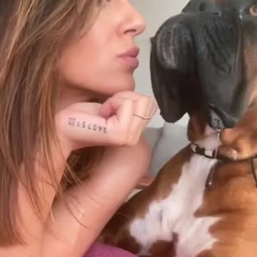 The Boxer dog plays with its owner in an entertaining and funny way