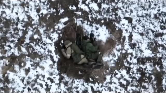 Ku-ku! Who hid there?