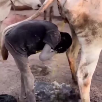 Irrefutable Proof that Blacks Invented Showering