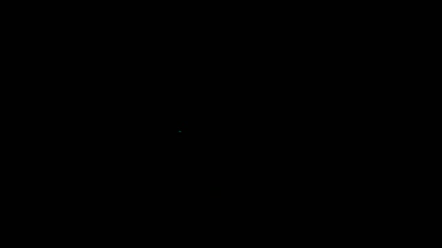 Flashlight Fish 2