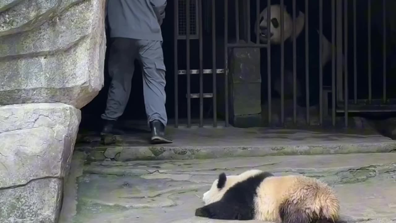 😍😍😍