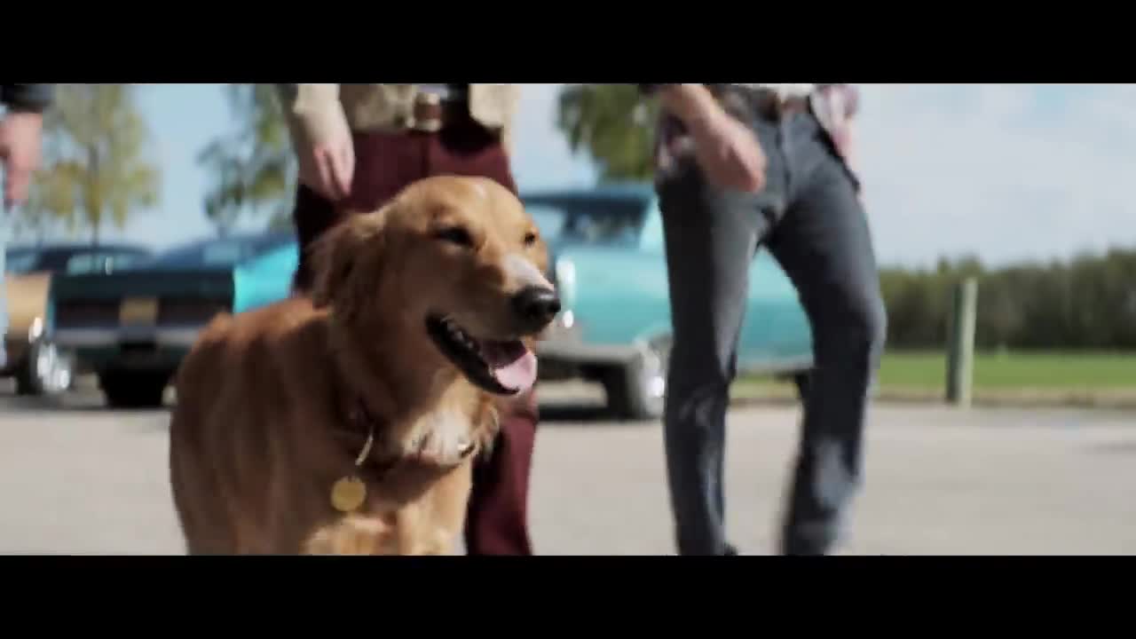 A Dog's Purpose - Official Trailer (HD