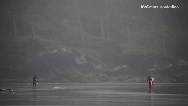 Wetsuit guy with surfboard shadow boxes on beach