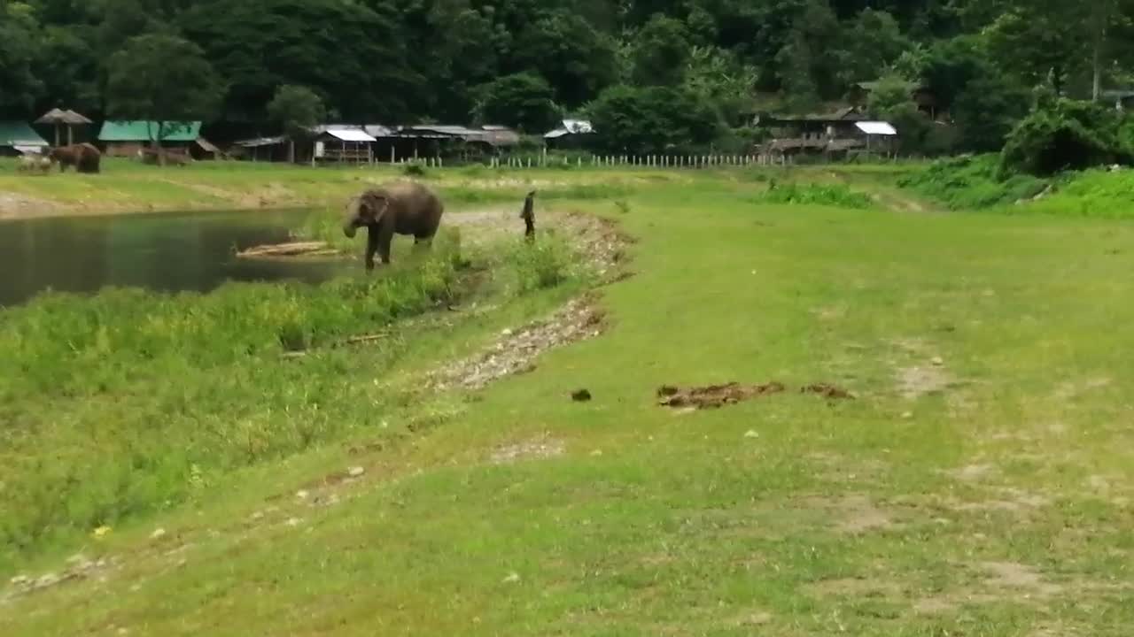 ATV around park Elephants Thailand