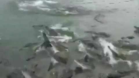 One Steps Out Of Line