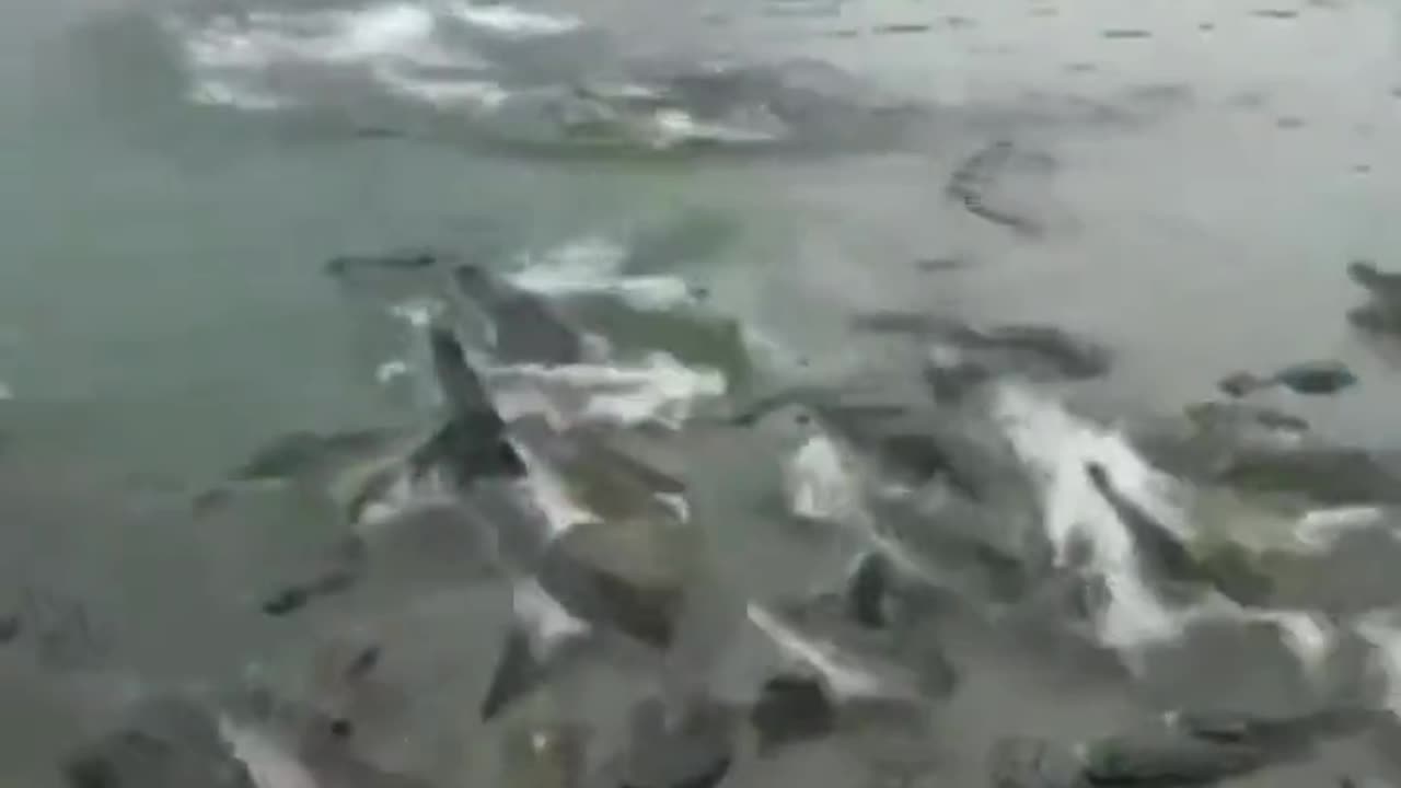 One Steps Out Of Line