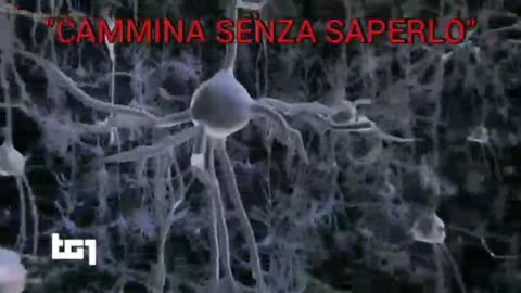 "CAMMINA SENZA SAPERLO"