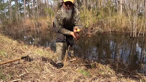 Public Land Beaver trapping 101 pt1