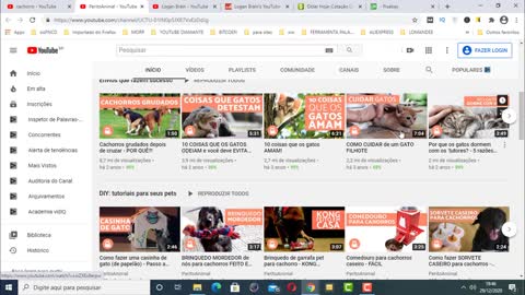 HOW YOU EARN MONEY ON YOUTUBE - WITH DOG CHANNEL AND MONETIZAR