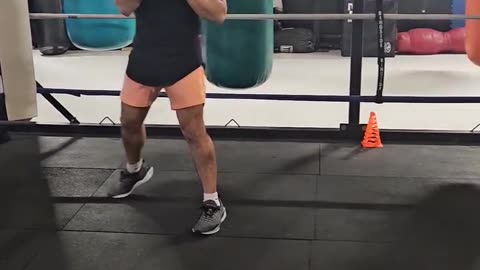 Johnny Blaze Tapia: Circle Jab Left