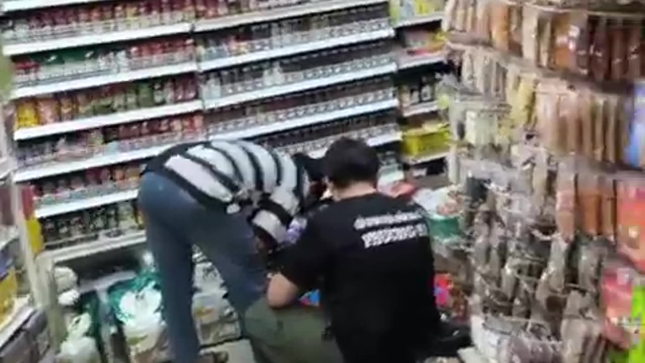 fatty demon pig - 2024 - September 29th part 003 - Vung Tau