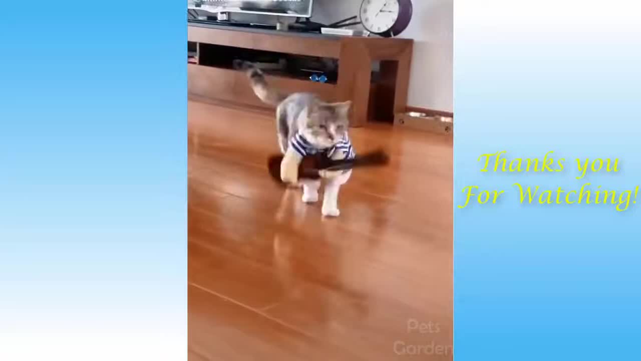 🐈😂 VERY FUNNY ANIMALS VIDEO