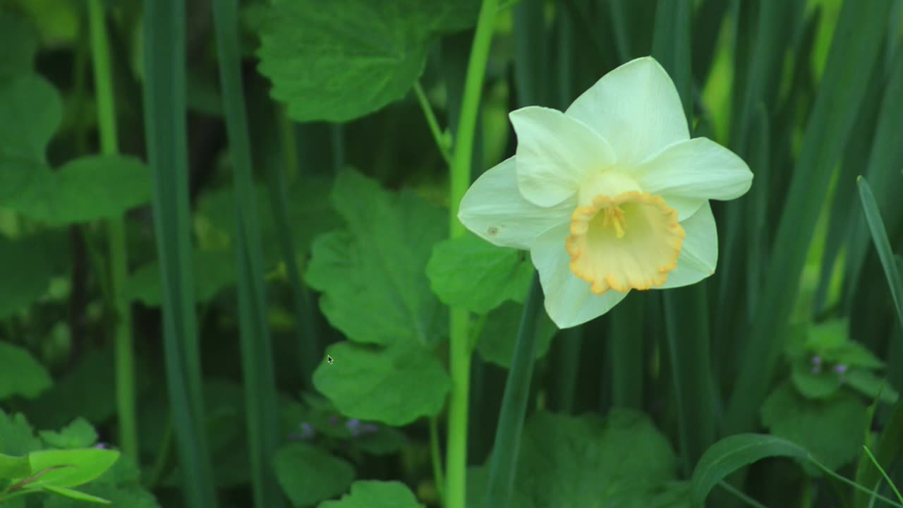 Make sure your heart is right with Jesus