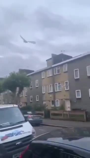 Wehrmacht pigeon lol