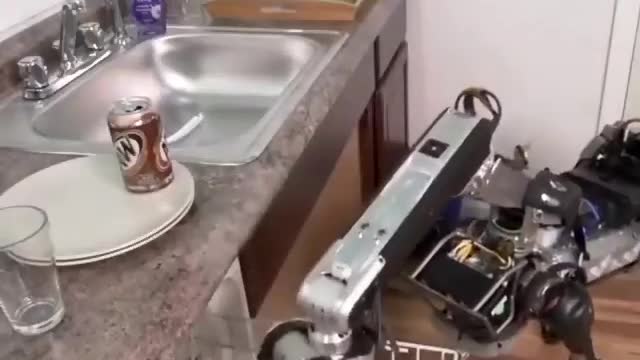 Watch animals in the form of robots