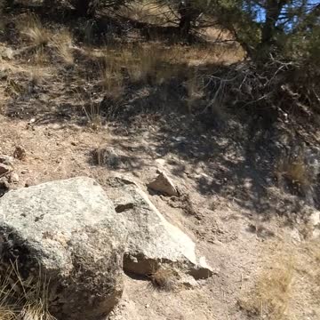 Cress Creek Idaho Hike Hiking