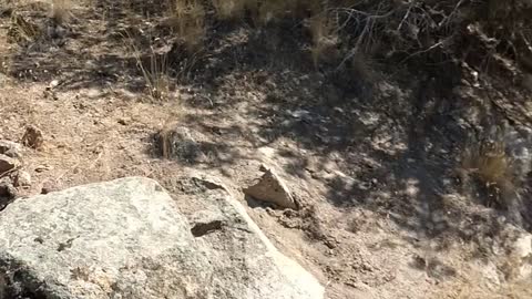 Cress Creek Idaho Hike Hiking
