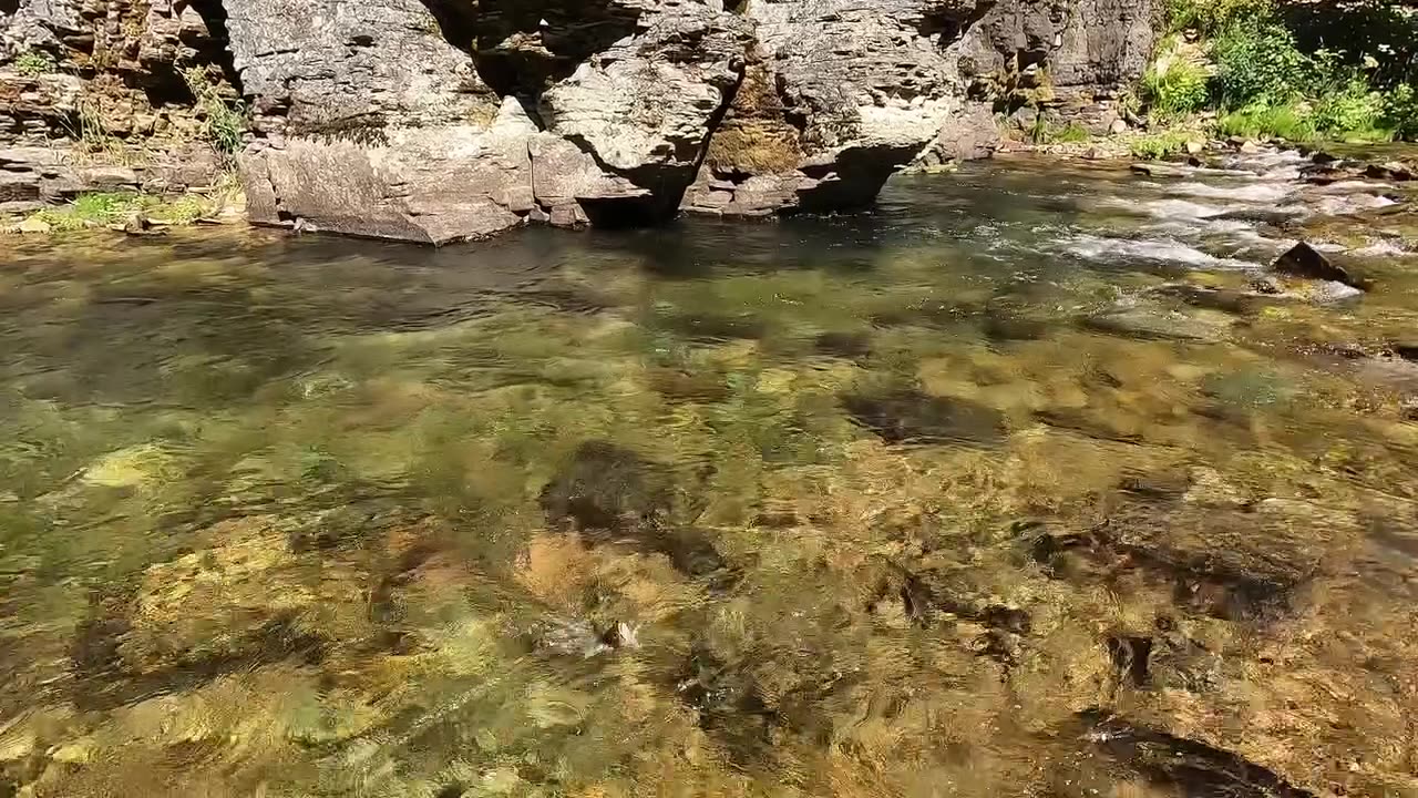 Not sure which is prettier - stream or trout?