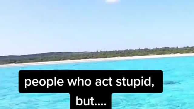 People Who Act Stupid, but.......