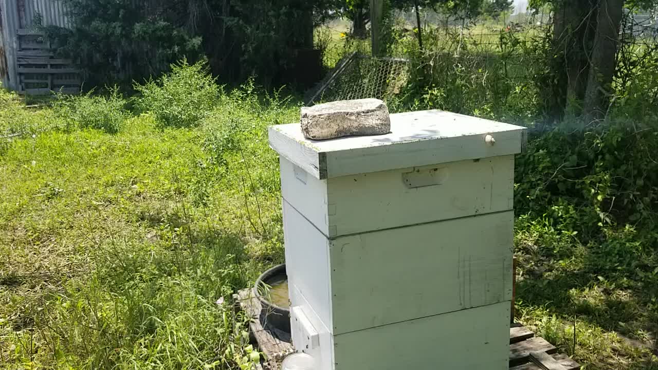 Flow hive added to honey bees