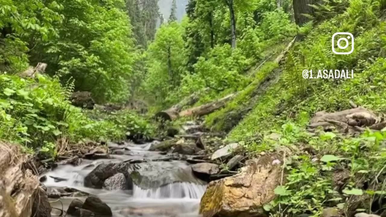 The beautiful valley in Kashmir