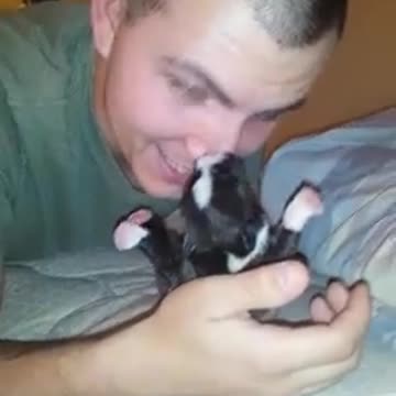Newborn puppy thinks owner's nose is food source