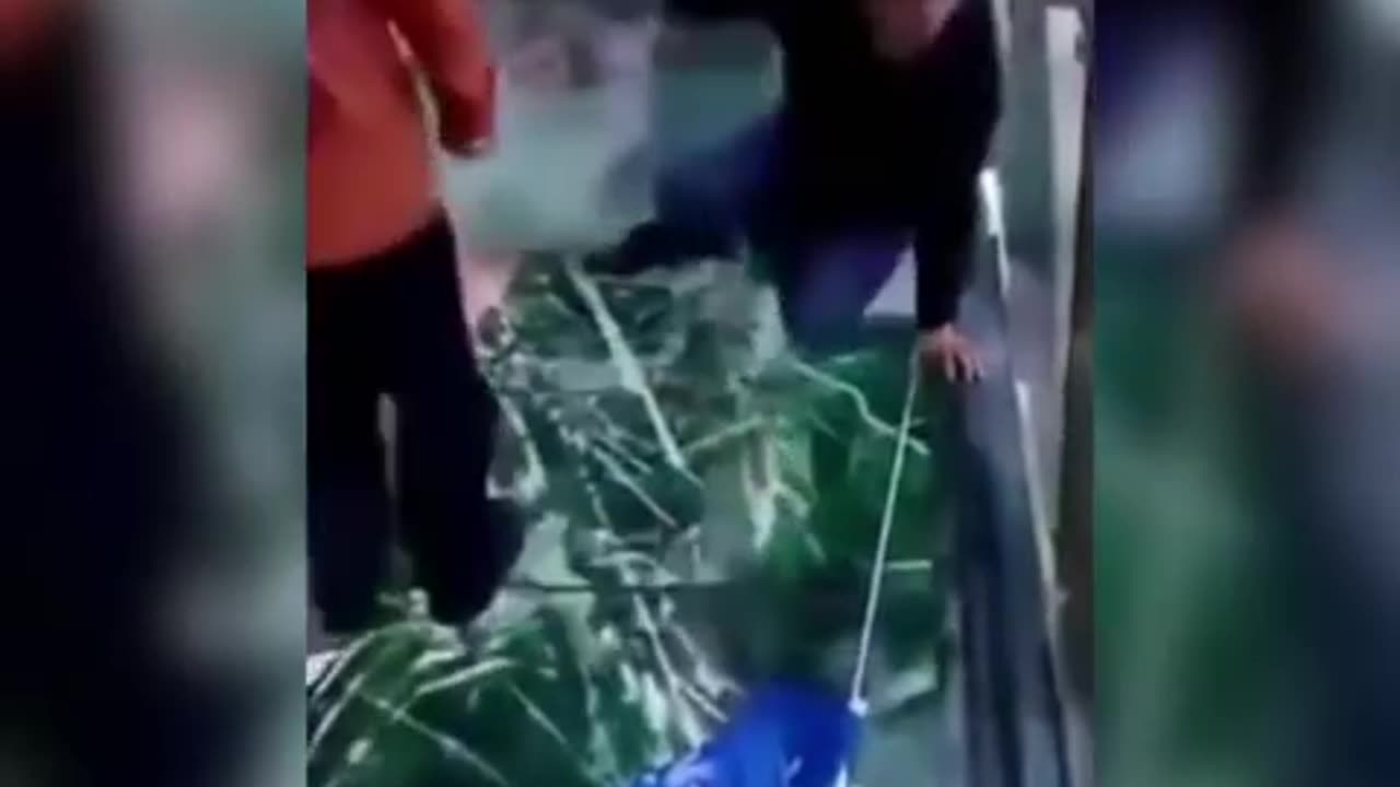 Fake Cracking Glass Walkway in China Scares Tour Guide_HIGH