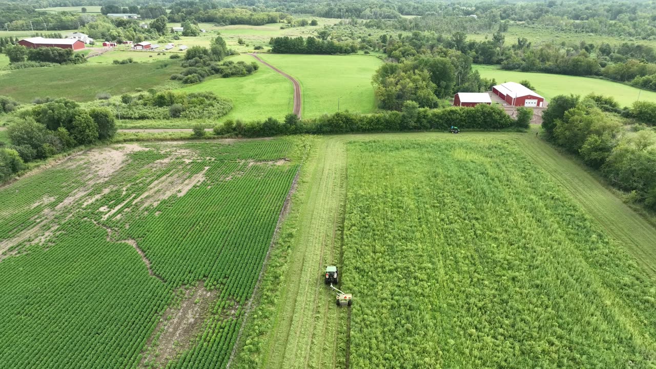 Cutting 10 Acres of Hay with TRACTORS