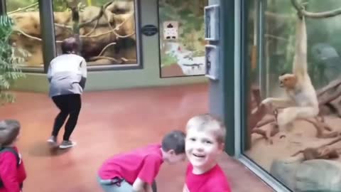 Funny Videos Compilation April 2022 | These Fails Are Epic | Try Not To Laugh