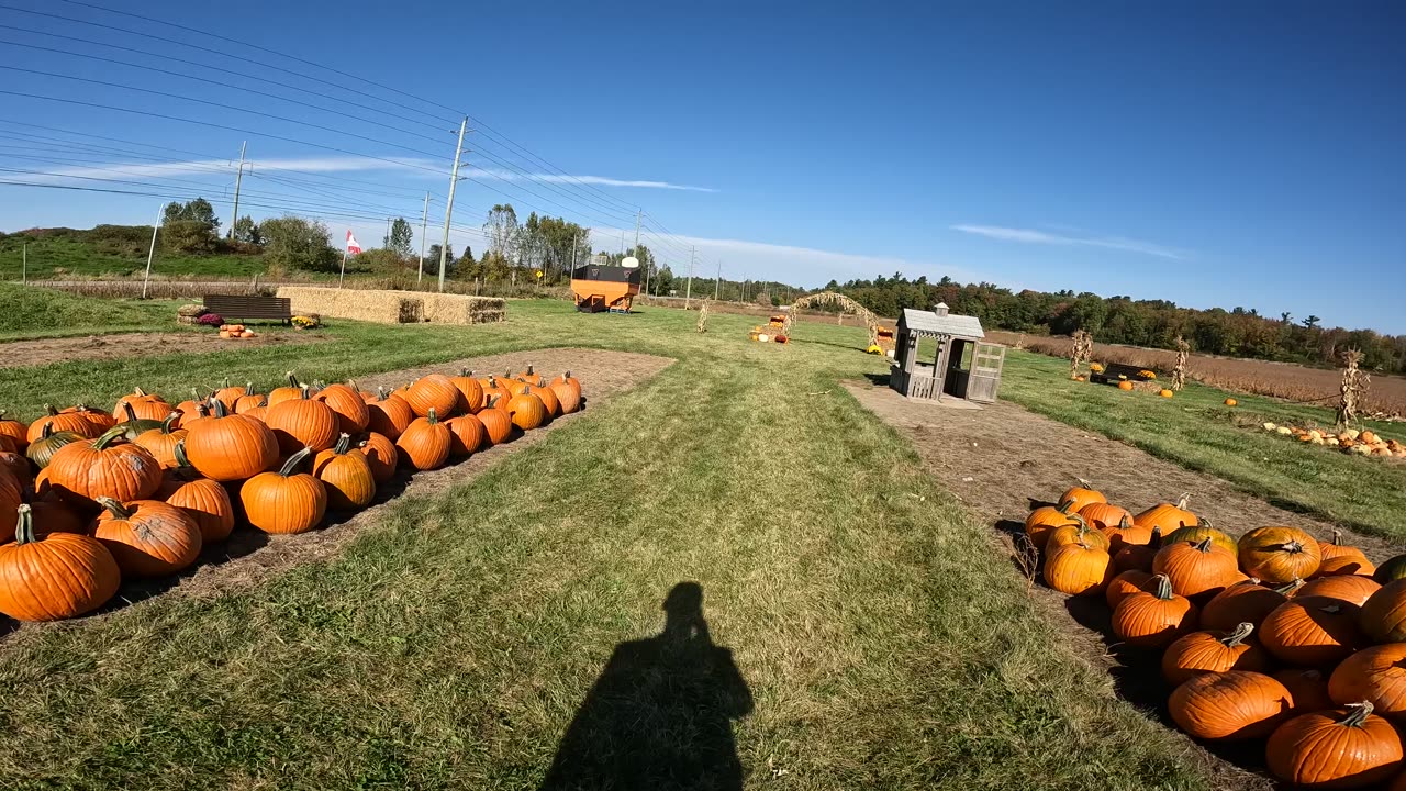 🎃🫑🥕 Support Your Local Farmer 🍂 Cedarview Pumpkin Patch 🎃🍇🍎🍉Farm Stand Part 2 In Ottawa 🌎 Canada 🍁🍆🍄‍🟫🍋‍🟩🍋