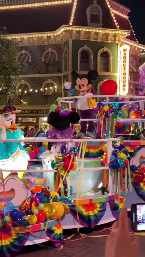 Never go to Disneyland ever again.