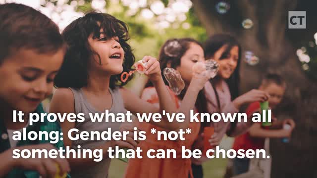 Joe's test video for Rumble