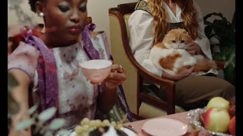 Cute funny cat