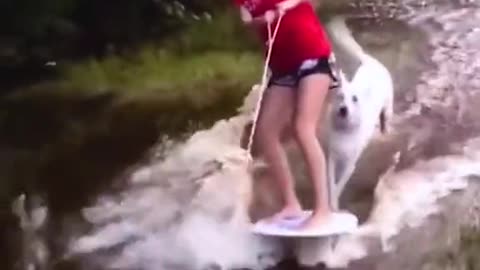 Skiing with dogs