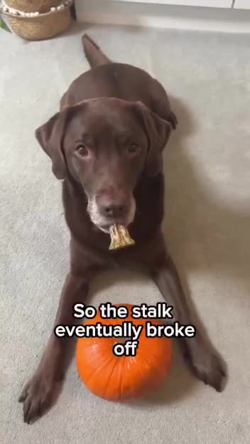 We get our support where ever we can