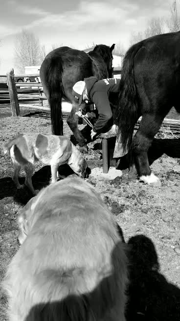 Living the life at home