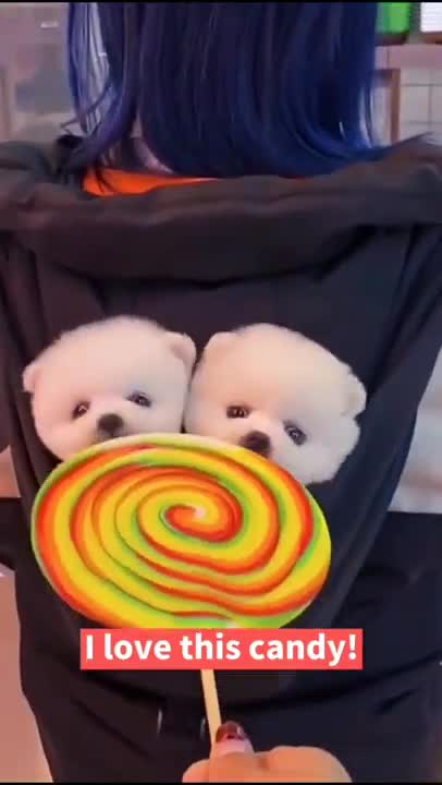 Cute puppy ☺️ 😊/ / DiscoverAnimalstech #short