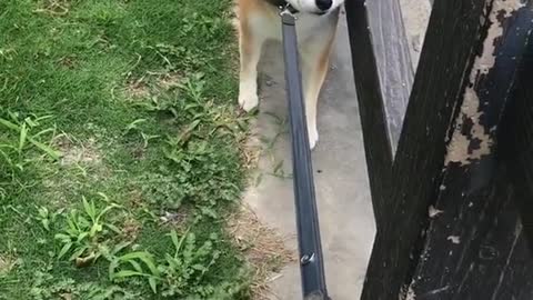 I don't want to go.