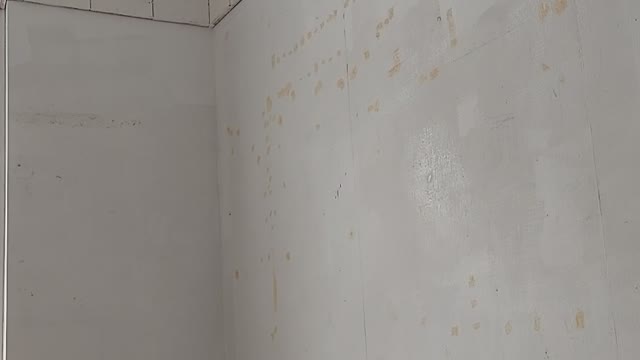 wall primer time lapse